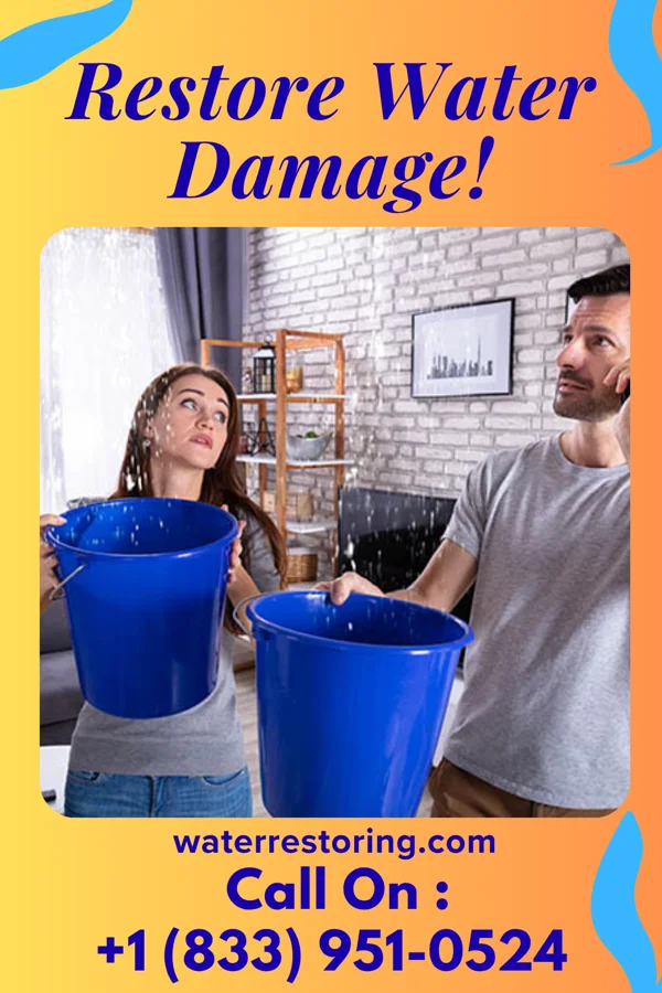 water restoration Prestige Water Works & Associates Camden Point