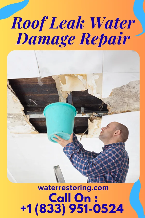 Roof Leak Water Damage Repair in Camden Point, MO