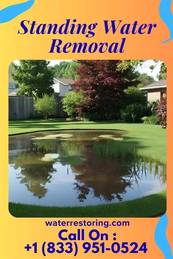 Standing Water Removal in Camden Point, MO